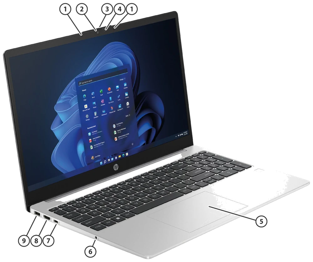 Notebooks HP 250 G10 y 255 G10